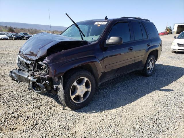 CHEVROLET TRAILBLAZE 2008 with VIN 1GNDS13S482192223 - Photo from auction