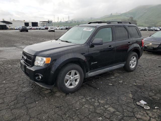 FORD ESCAPE HYB 2009 with VIN 1FMCU59349KB79281 - Photo from auction