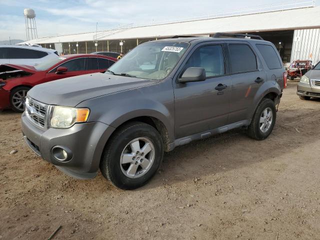 FORD ESCAPE XLT 2009 with VIN 1FMCU03759KA50058 - Photo from auction