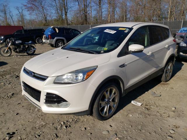 FORD ESCAPE SEL 2013 with VIN 1FMCU9HX4DUA46254 - Photo from auction