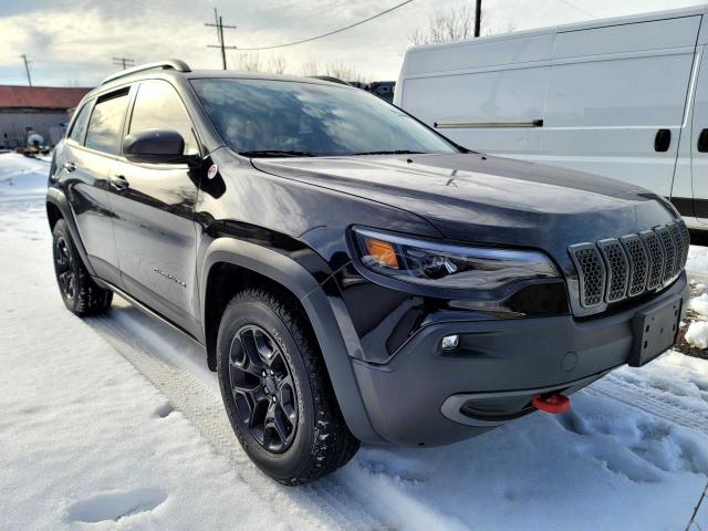 JEEP CHEROKEE T 2019 with VIN 1C4PJMBX0KD211398 - Photo from auction