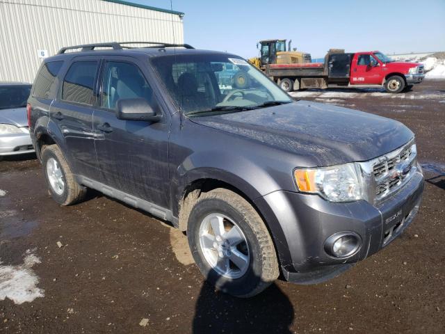 Photo 4 from auction – 2009 FORD ESCAPE XLT with VIN 1FMCU93G59KB17116