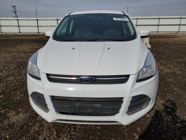 Photo 5 from auction – 2014 FORD ESCAPE SE with VIN 1FMCU0GX0EUC93866