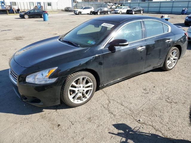 NISSAN MAXIMA S 2010 with VIN 1N4AA5AP5AC837696 - Photo from auction