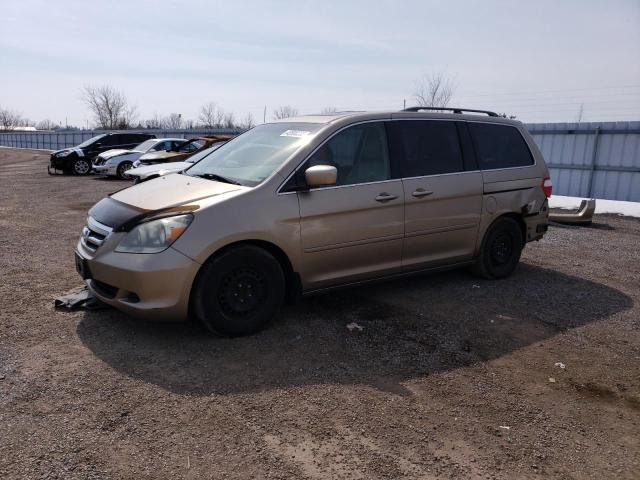 HONDA ODYSSEY EX 2005 with VIN 5FNRL38645B500955 - Photo from auction