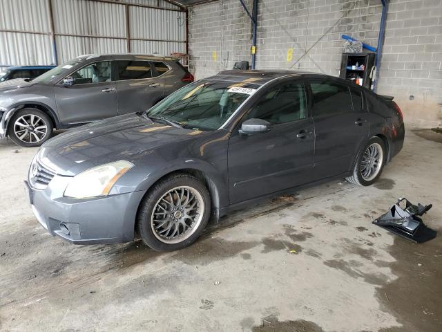 NISSAN MAXIMA SE 2008 with VIN 1N4BA41E48C828334 - Photo from auction