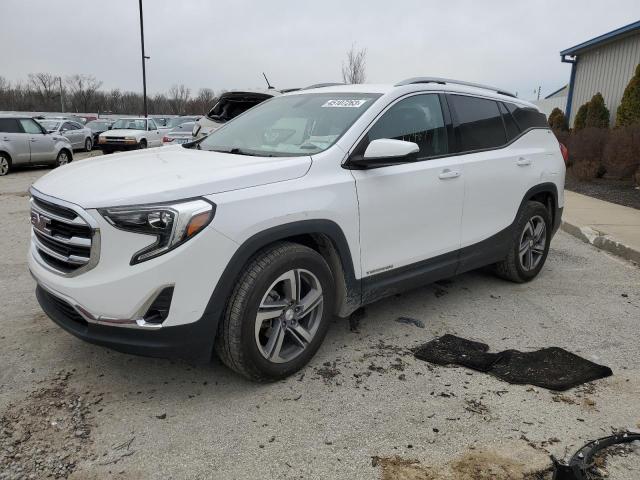 GMC TERRAIN SL 2019 with VIN 3GKALPEV3KL211891 - Photo from auction