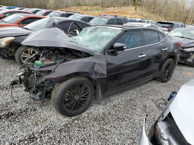 NISSAN MAXIMA 3.5 2016 with VIN 1N4AA6AP1GC396650 - Photo from auction