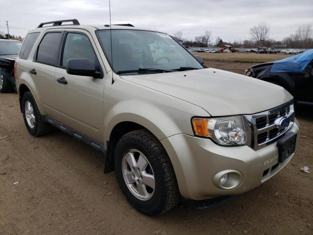 Photo 4 from auction – 2011 FORD ESCAPE XLT with VIN 1FMCU9D73BKC11516
