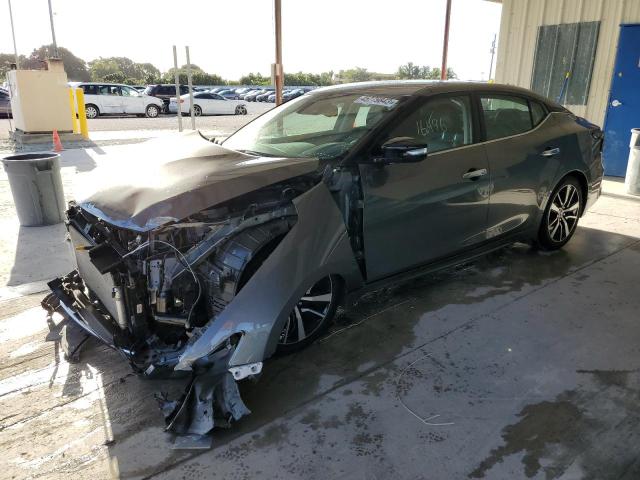 NISSAN MAXIMA SV 2021 with VIN 1N4AA6CVXMC502746 - Photo from auction
