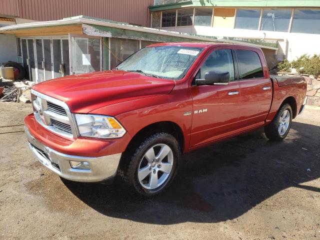 DODGE RAM 1500 2009 with VIN 1D3HV13T59J515588 - Photo from auction