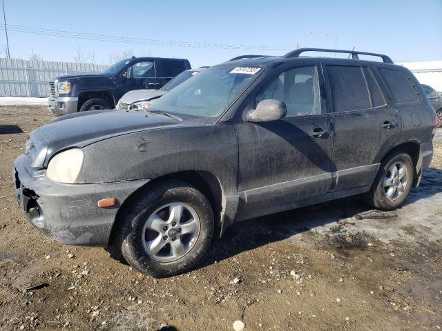 Photo 1 from auction – 2005 HYUNDAI SANTA FE with VIN KM8SB13D25U896742