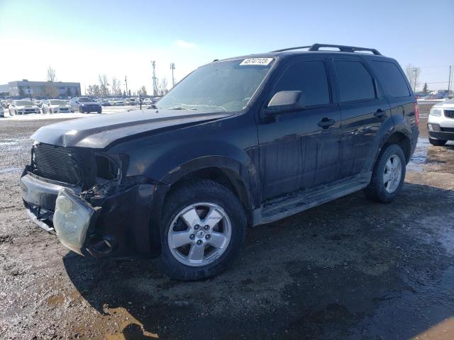 FORD ESCAPE XLT 2010 with VIN 1FMCU9DGXAKA50466 - Photo from auction