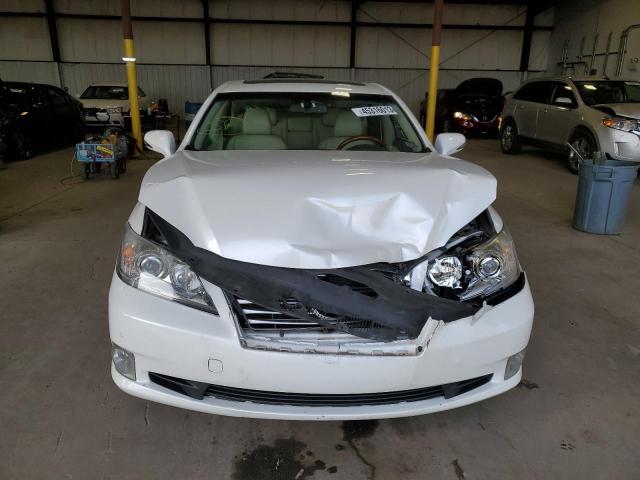 Photo 5 from auction – 2010 LEXUS ES 350 with VIN JTHBK1EG0A2409280