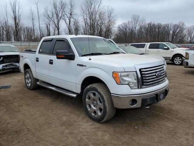 Photo 4 from auction – 2010 FORD F150 SUPER with VIN 1FTFW1EV5AFB88645