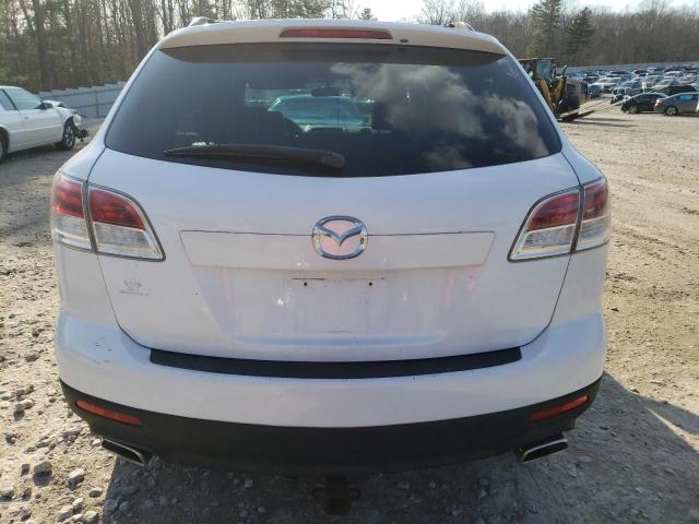 Photo 6 from auction – 2009 MAZDA CX-9 with VIN JM3TB38V490180094