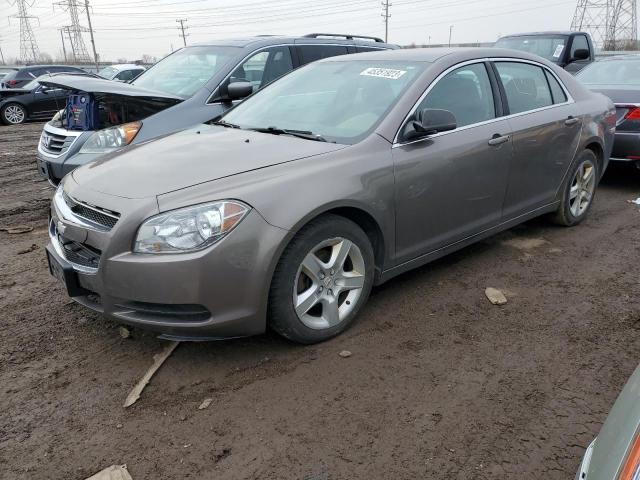 CHEVROLET MALIBU LS 2012 with VIN 1G1ZB5E03CF331186 - Photo from auction