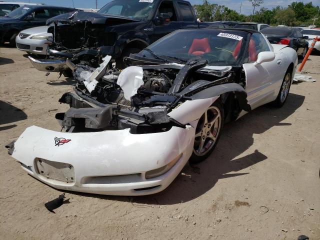 CHEVROLET CORVETTE 2004 with VIN 1G1YY22G445117809 - Photo from auction