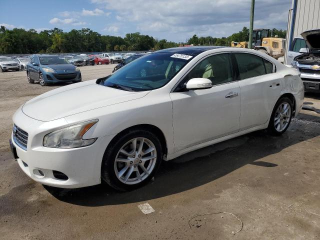 NISSAN MAXIMA S 2009 with VIN 1N4AA51E19C810053 - Photo from auction