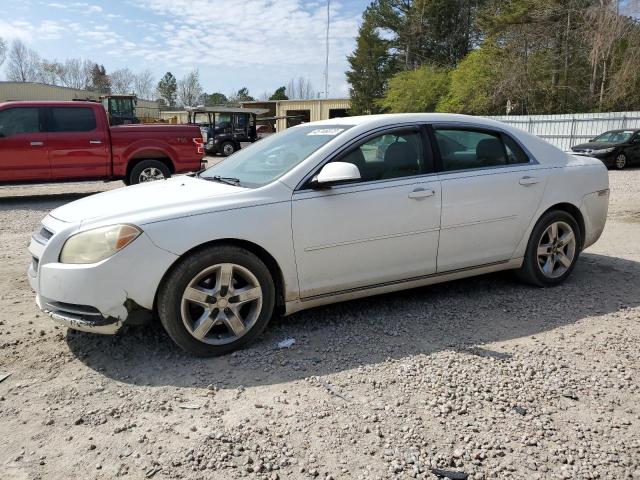 CHEVROLET MALIBU 1LT 2010 with VIN 1G1ZC5EB4AF168902 - Photo from auction