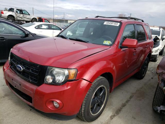 FORD ESCAPE XLT 2010 with VIN 1FMCU0D77AKD41504 - Photo from auction