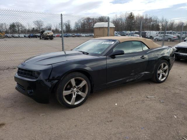 CHEVROLET CAMARO LT 2011 with VIN 2G1FC3DDXB9211823 - Photo from auction