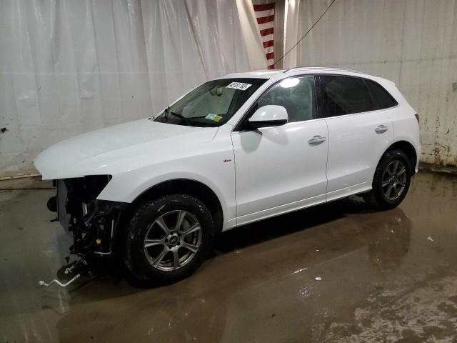 AUDI Q5 PREMIUM 2016 with VIN WA1D7AFP2GA137169 - Photo from auction