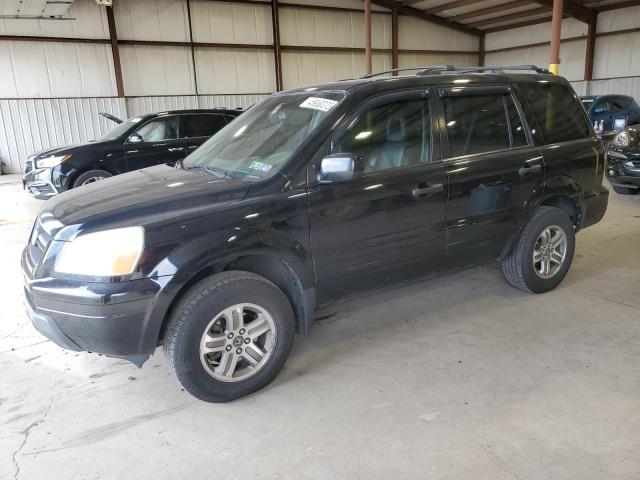 HONDA PILOT EXL 2005 with VIN 5FNYF18585B008136 - Photo from auction