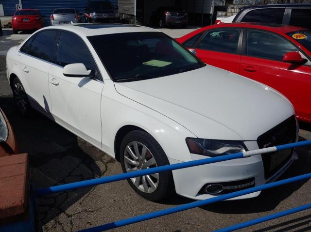 AUDI A4 PREMIUM 2011 with VIN WAUEFAFL3BN040345 - Photo from auction