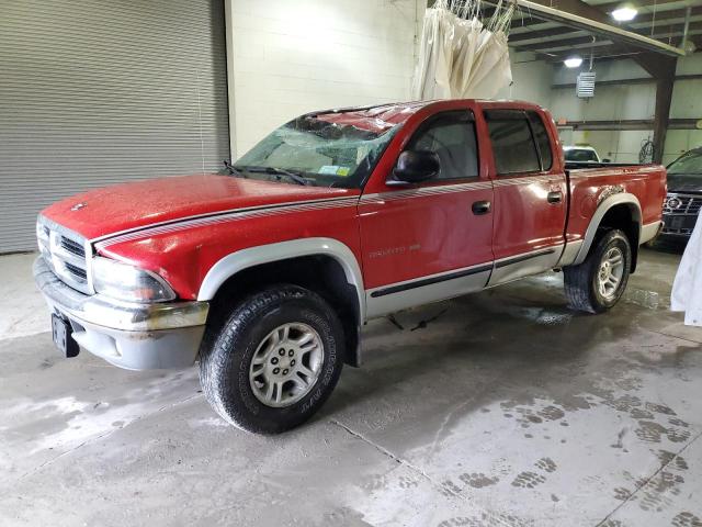 DODGE DAKOTA QUA 2001 with VIN 1B7GG2AN21S172262 - Photo from auction
