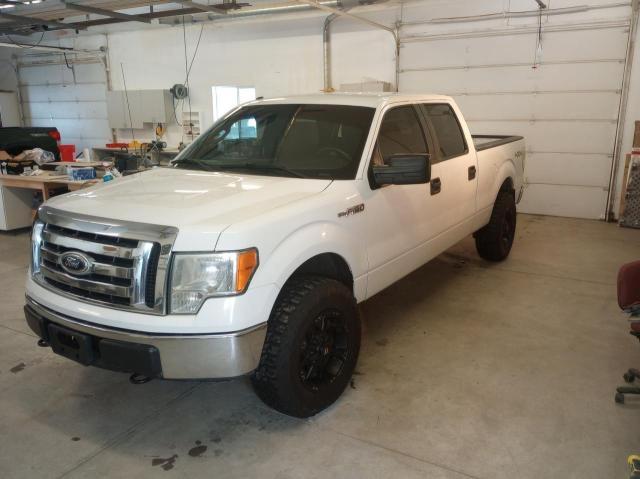صورة رقم 2 من المزاد - 2012 FORD F150 SUPER مع VIN 1FTFW1EF0CFB97765