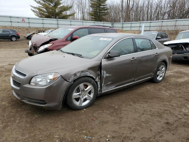 CHEVROLET MALIBU LS 2011 with VIN 1G1ZB5E13BF204543 - Photo from auction