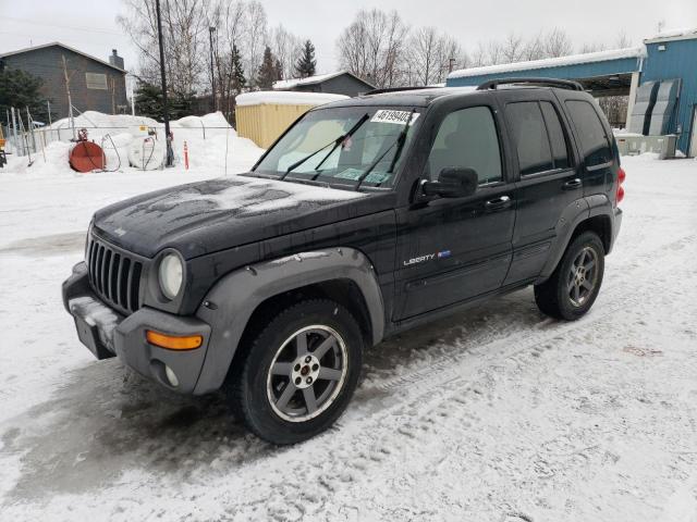 JEEP LIBERTY SP 2003 with VIN 1J4GL48K23W664007 - Photo from auction