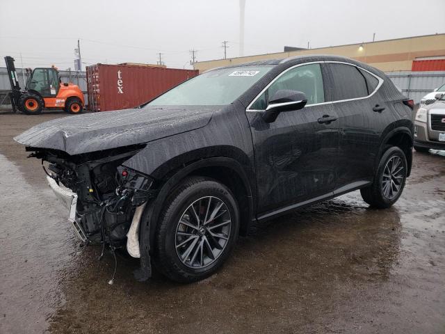 LEXUS NX 250 2023 with VIN 2T2ADCEZXPC003386 - Photo from auction