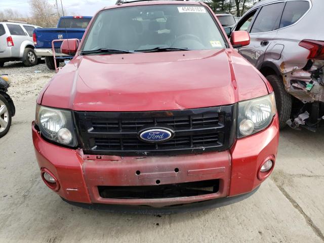 Photo 5 from auction – 2010 FORD ESCAPE XLT with VIN 1FMCU0D77AKD41504