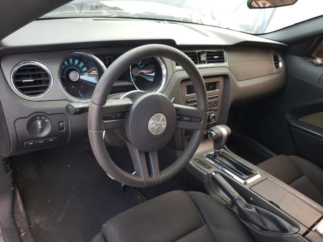 Photo 8 from auction – 2011 FORD MUSTANG with VIN 1ZVBP8AM4B5145369