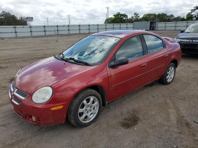 DODGE NEON SXT 2005 with VIN 1B3ES56C05D241508 - Photo from auction