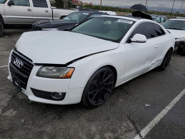 AUDI A5 QUATTRO 2009 with VIN WAUDK78T29A049577 - Photo from auction