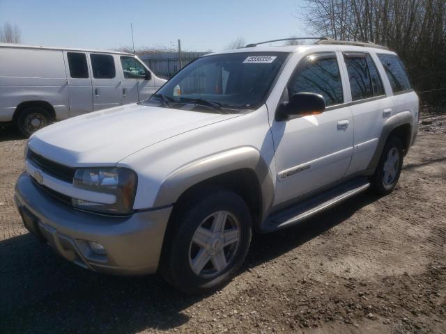 CHEVROLET TRAILBLAZE 2002 with VIN 1GNDT13S122282403 - Photo from auction