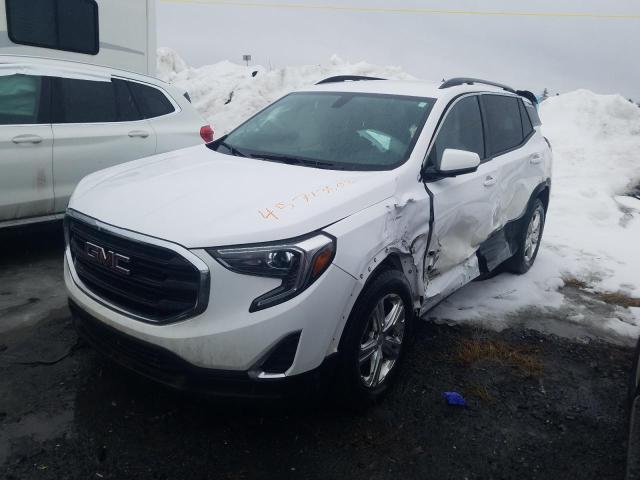 GMC TERRAIN SL 2019 with VIN 3GKALMEV6KL120757 - Photo from auction