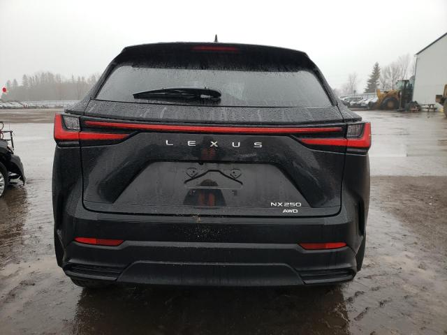 Photo 6 from auction – 2023 LEXUS NX 250 with VIN 2T2ADCEZXPC003386