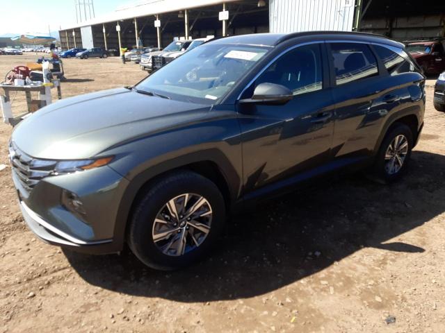 HYUNDAI TUCSON 2022 with VIN KM8JBCA15NU049648 - Photo from auction