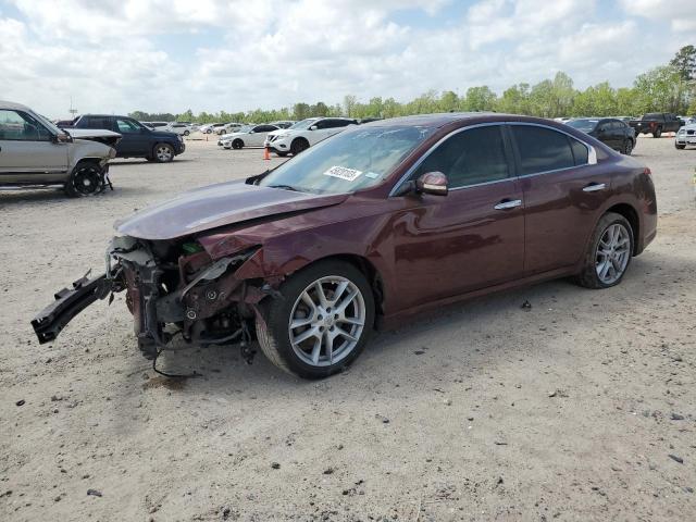 NISSAN MAXIMA S 2010 with VIN 1N4AA5AP8AC872670 - Photo from auction