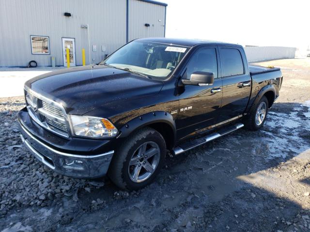 DODGE RAM 1500 2009 with VIN 1D3HV13TX9S731284 - Photo from auction