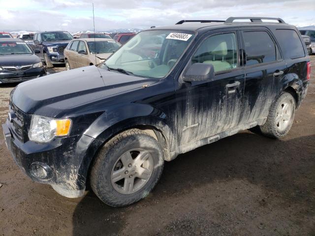FORD ESCAPE HYB 2010 with VIN 1FMCU5K31AKC46160 - Photo from auction