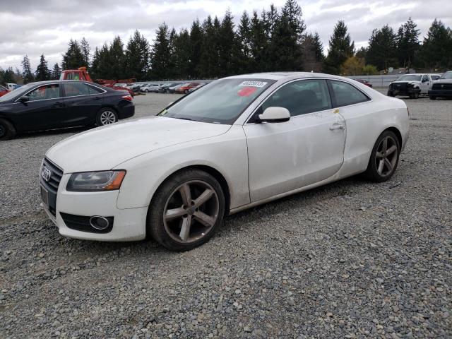 AUDI A5 PREMIUM 2010 with VIN WAULFAFR0AA003495 - Photo from auction