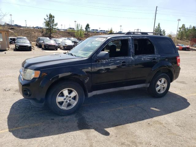 Photo 1 from auction – 2009 FORD ESCAPE XLT with VIN 1FMCU03G79KB54504