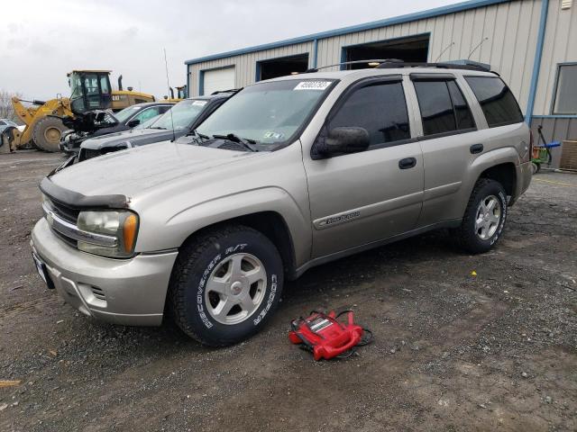CHEVROLET TRAILBLAZE 2002 with VIN 1GNDT13S522517093 - Photo from auction