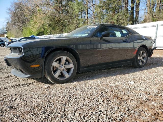 DODGE CHALLENGER 2013 with VIN 2C3CDYAG5DH523225 - Photo from auction