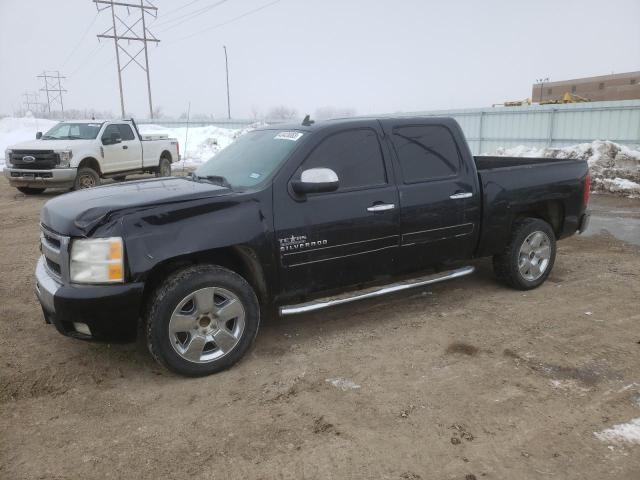 CHEVROLET 1500 2011 with VIN 3GCPCSE26BG362585 - Photo from auction